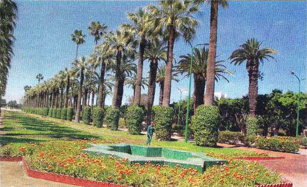 L’Economiste : Casablanca/conseil de la région : 17 projets adoptés