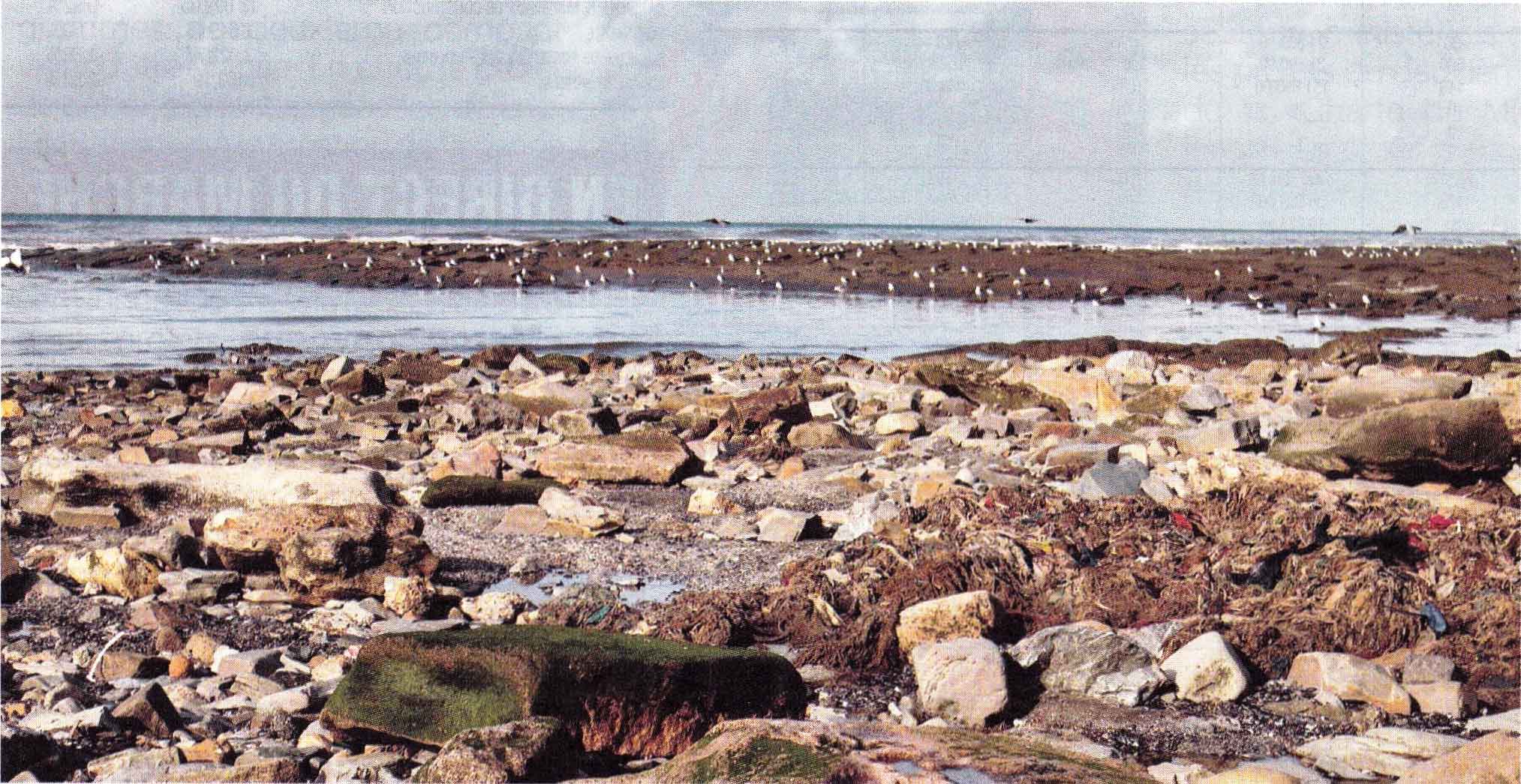 Les inspirations Éco : Grand Casablanca - Fini, la pollution sur la Côte Est 
